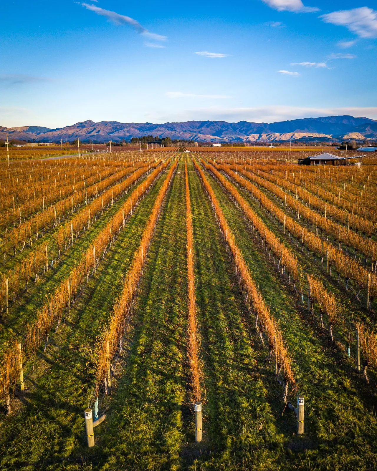 Marlborough