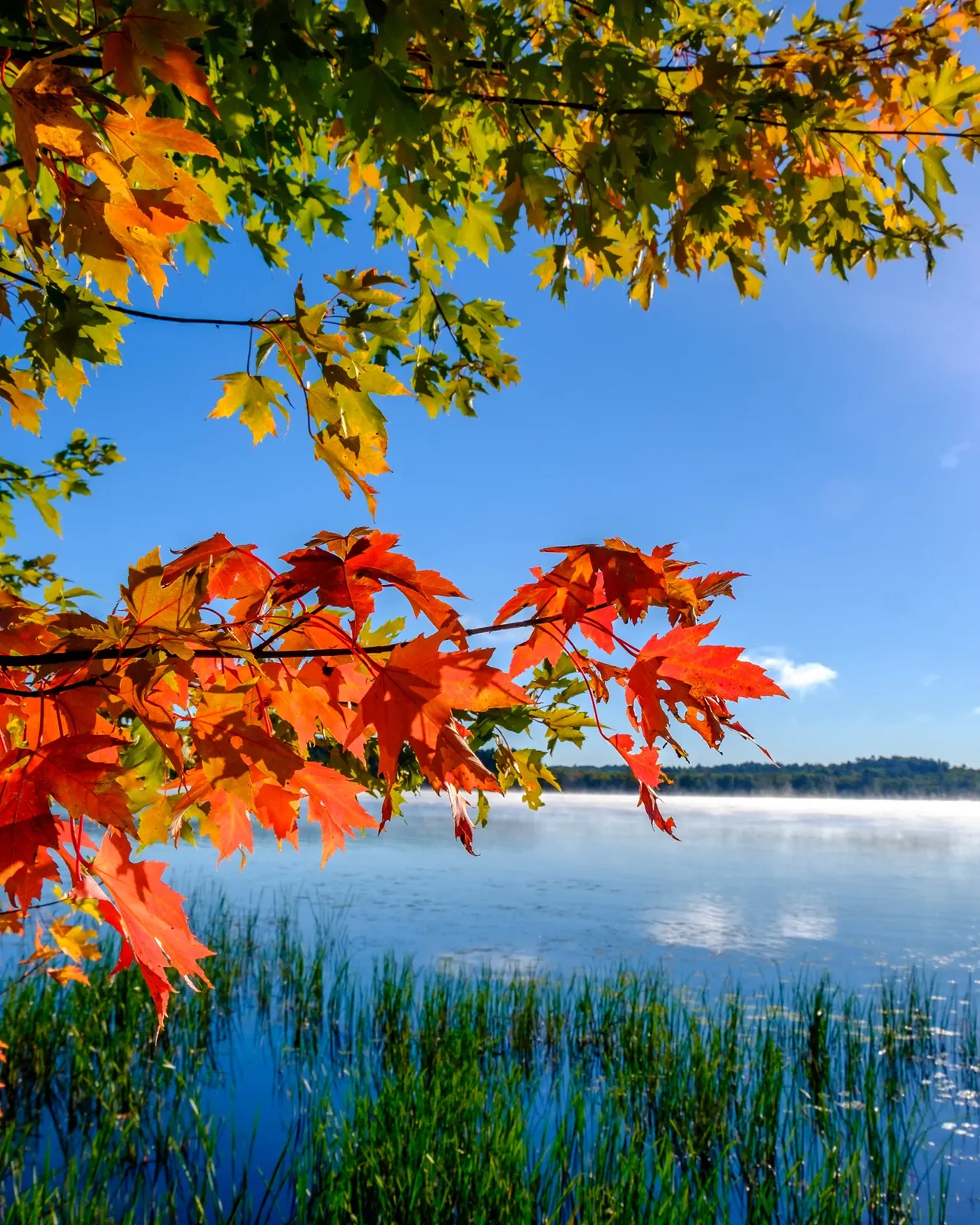 Ontario